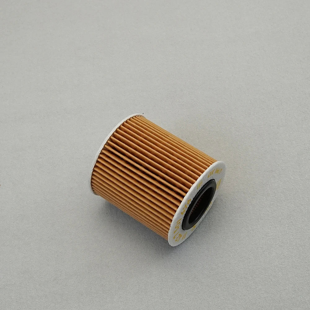 11427508969 Engine Oil Filter For BMW E81 E87 E88 E82 E46 E90 E93 E92 E91 E60 E61 E84 E83 E85 116i 118i